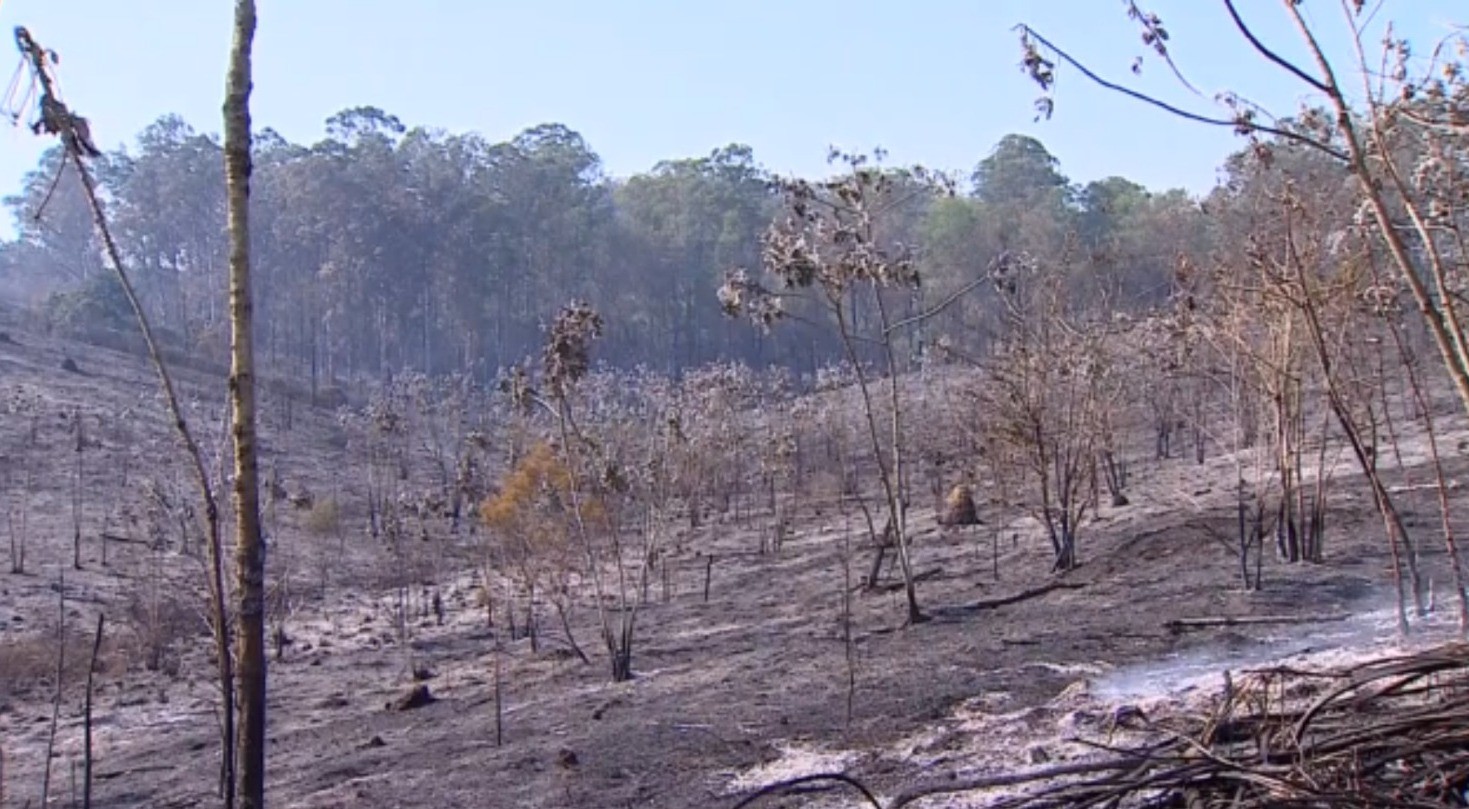 Imagens mostram destruição causada por incêndio em terreno do Inpe, órgão que monitora queimadas no país