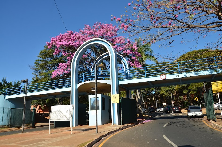 UFU abre vagas para professores em  Uberlândia, Patos de Minas e Ituiutaba