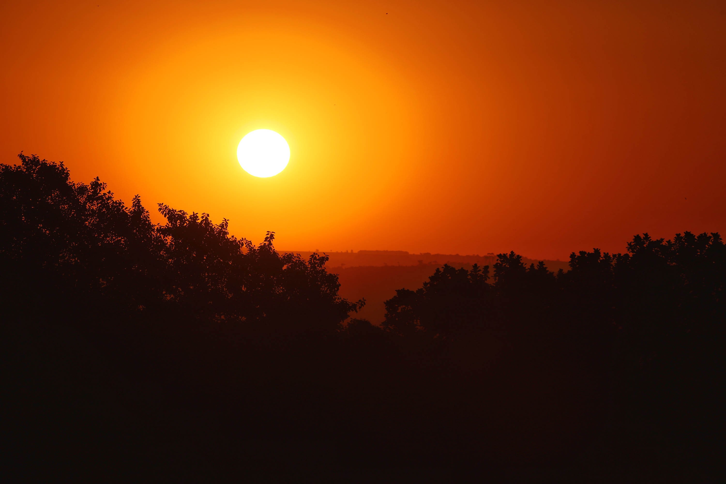 Exclusivo: 6 milhões de brasileiros viveram 5 meses sob calor extremo em 2024; veja mapa