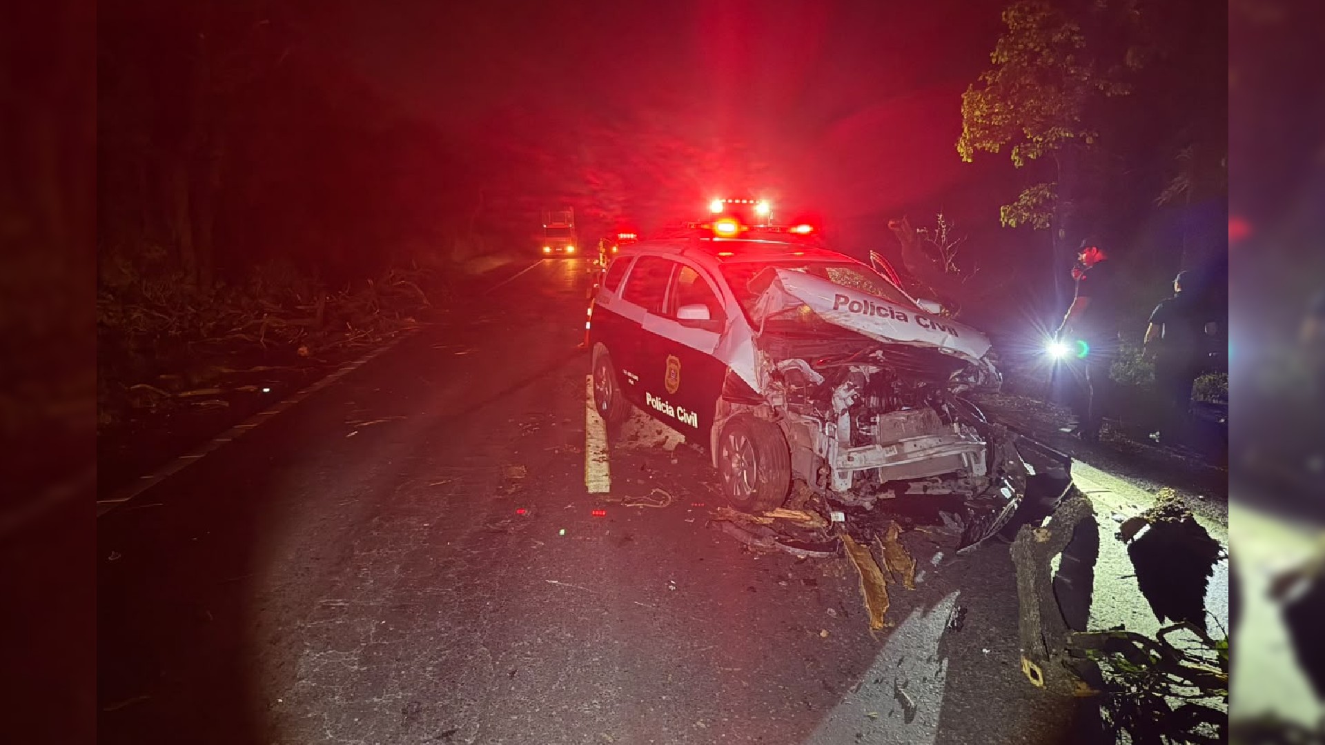 Viatura da Polícia Civil bate em árvore que caiu em rodovia durante ventania no interior de SP 