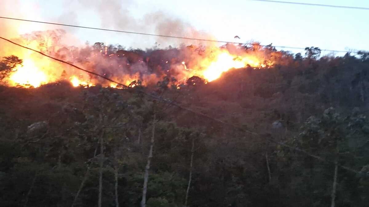 Bombeiros combatem incêndio em mata após relatos de queda de balão em Juiz de Fora