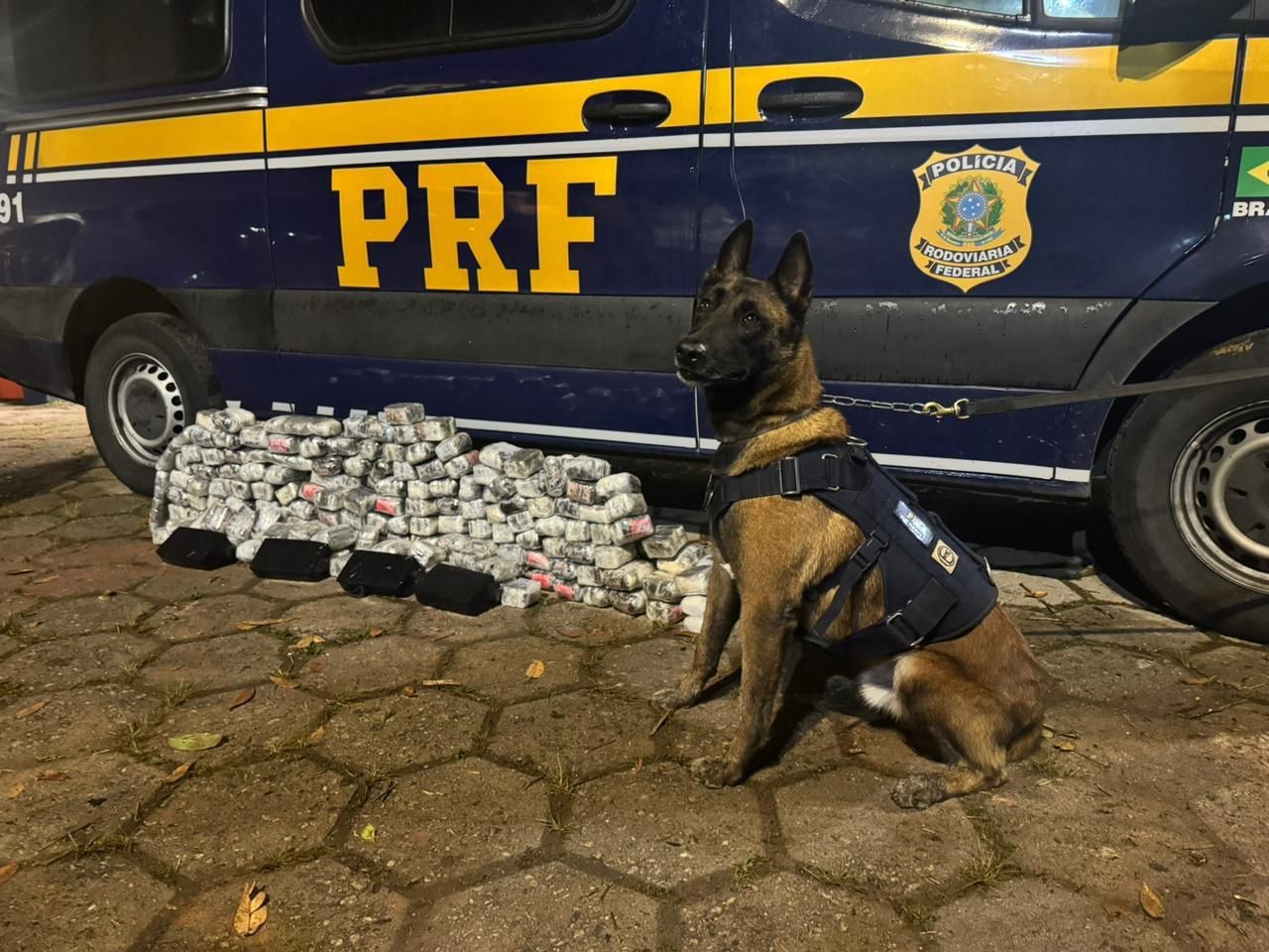 VÍDEO: Motorista é preso por transportar cerca de 70 kg de drogas em carro na Serra das Araras, em Piraí