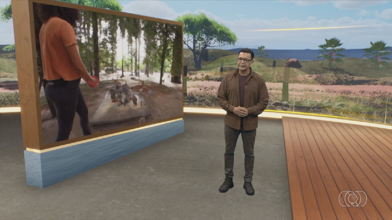 VÍDEOS: Jornal do Campo de domingo, 8 de março de 2026