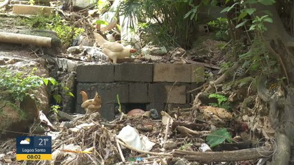 VÍDEOS: Bom Dia Minas de segunda-feira, 6 de abril de 2026