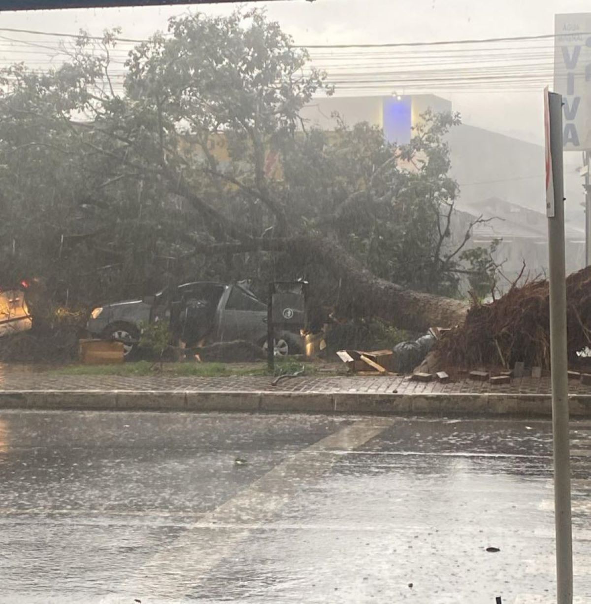 Árvores caem sobre casa e carro durante temporal com ventos fortes em Pará de Minas