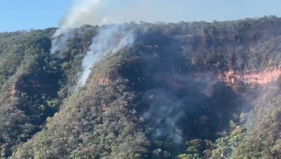 Incêndio atinge área de preservação da Chapada do Araripe — Foto: Divulgação