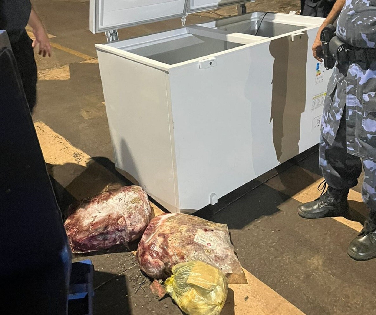 Suspeitos de furtar freezer e merenda de escola em Palmas são presos