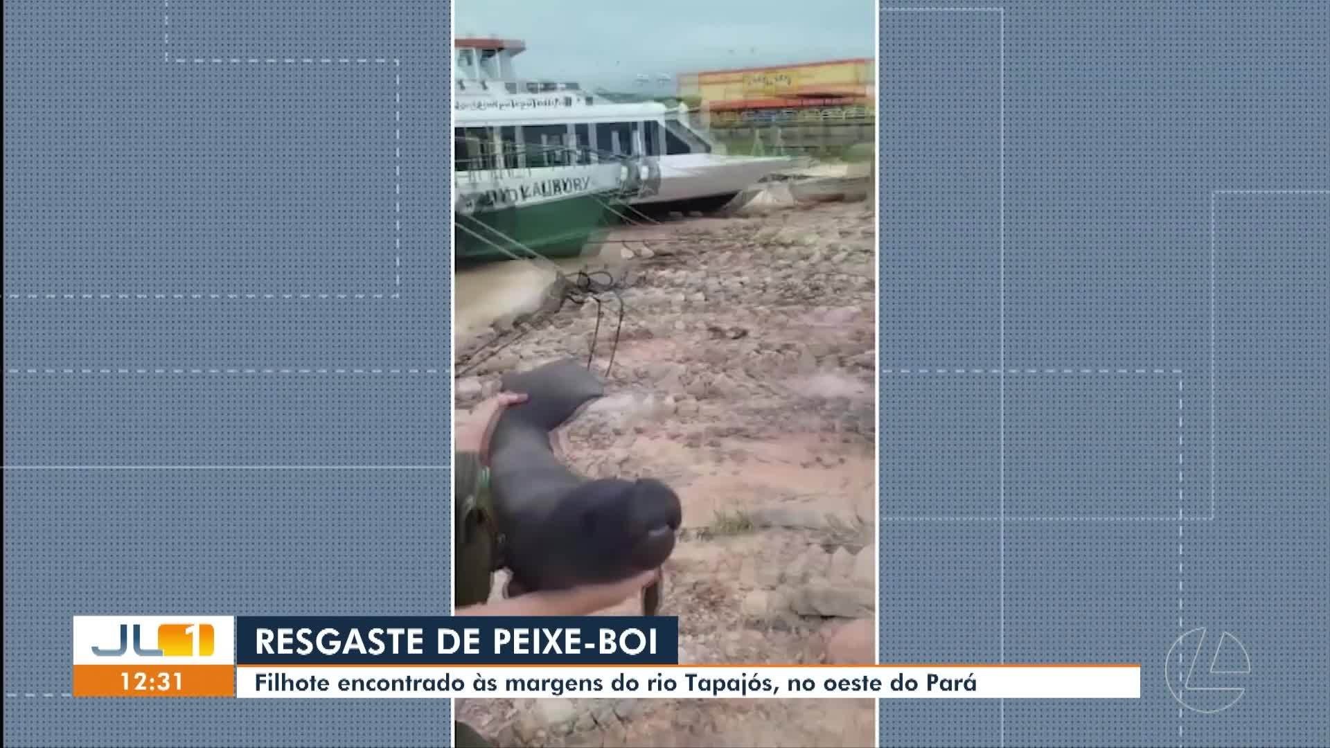 VÍDEOS: JL1 de sábado, 10 de janeiro de 2026