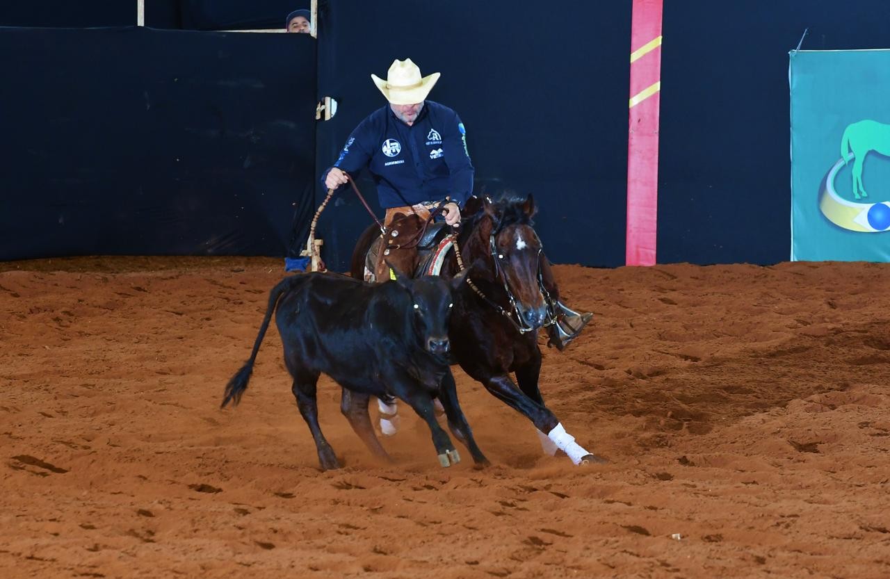 Mais bem pontuados, cavalos pai e filho se enfrentam em 'desafio do vaqueiro' no interior de SP