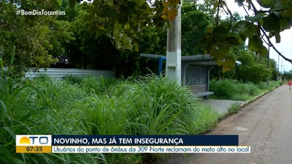 Moradores de Palmas reclamam de mato alto próximo de ponto de ônibus na quadra 309 Norte