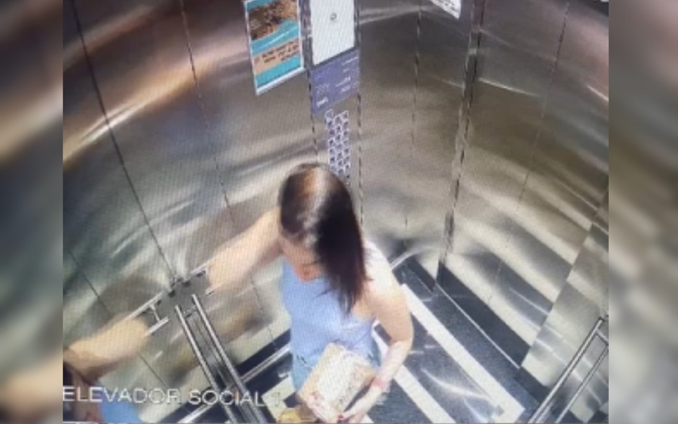 Advogada matou o ex-sogro e a mãe dele pelo sentimento de rejeição e vontade de causar no ex-namorado o maior sofrimento possível, diz delegado — Foto: Divulgação/Polícia Civil