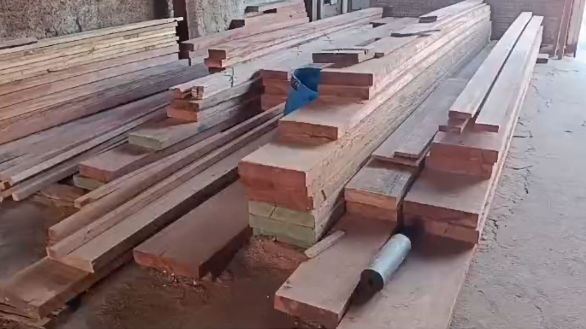 Polícia aplica mais de R$ 300 mil em multas ao identificar 7 estabelecimentos que vendem madeira em desacordo com leis ambientais