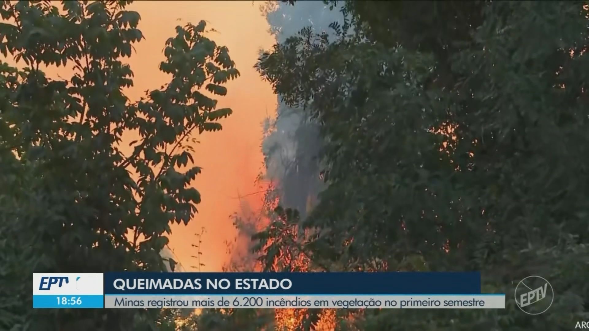 VÍDEOS: EPTV 2 Sul de Minas de quarta-feira, 16 de julho de 2025