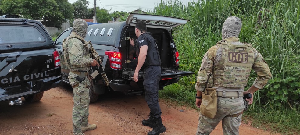 Também foram cumpridos 54 mandados de busca e apreensão e 54 ordens de bloqueio de contas — Foto: Polícia Civil