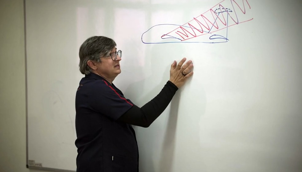 Professor explica região da asa onde o gelo costuma se formar. — Foto: TV Globo/Reprodução