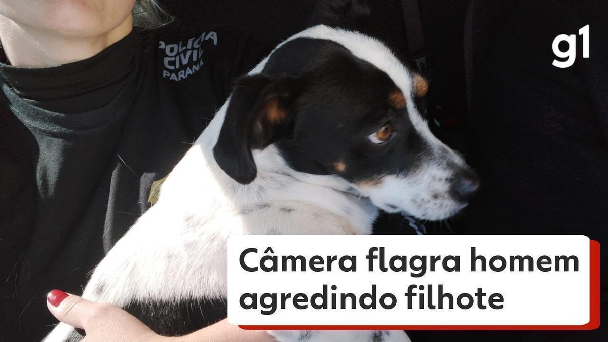 Câmera flagra homem agredindo filhote