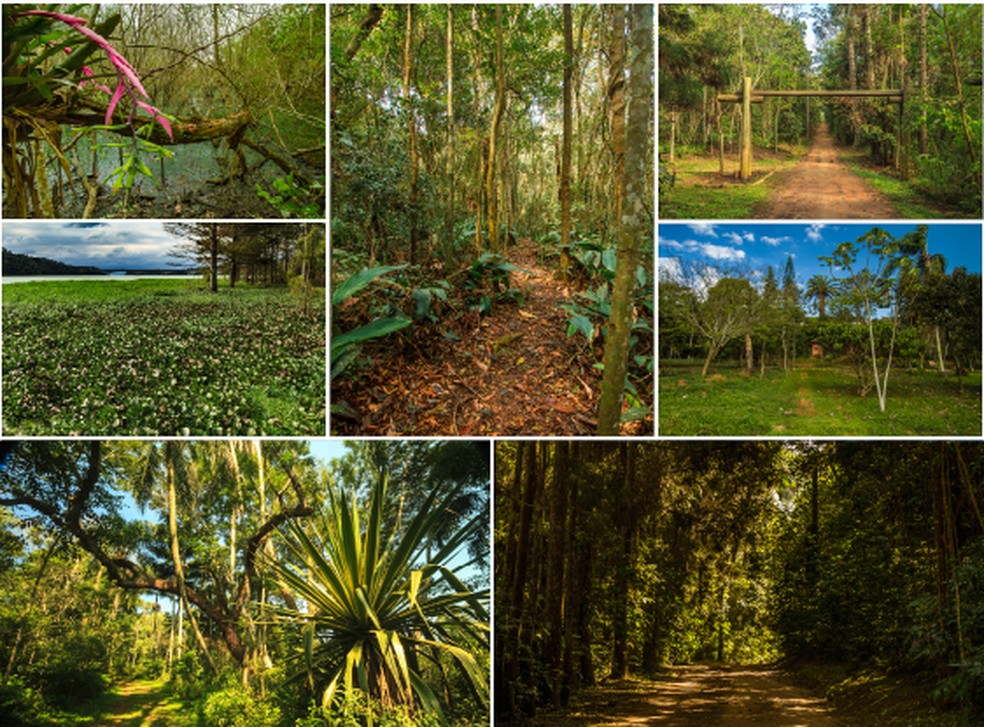 Parque Natural Municipal Bororé — Foto: Divulgação/SVMA