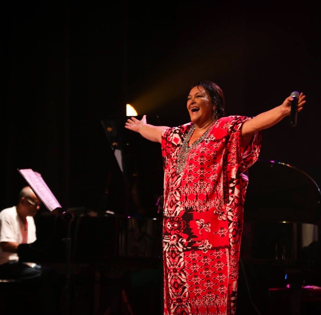 Artista homenageia cantora argentina Mercedes Sosa em show na capital acreana