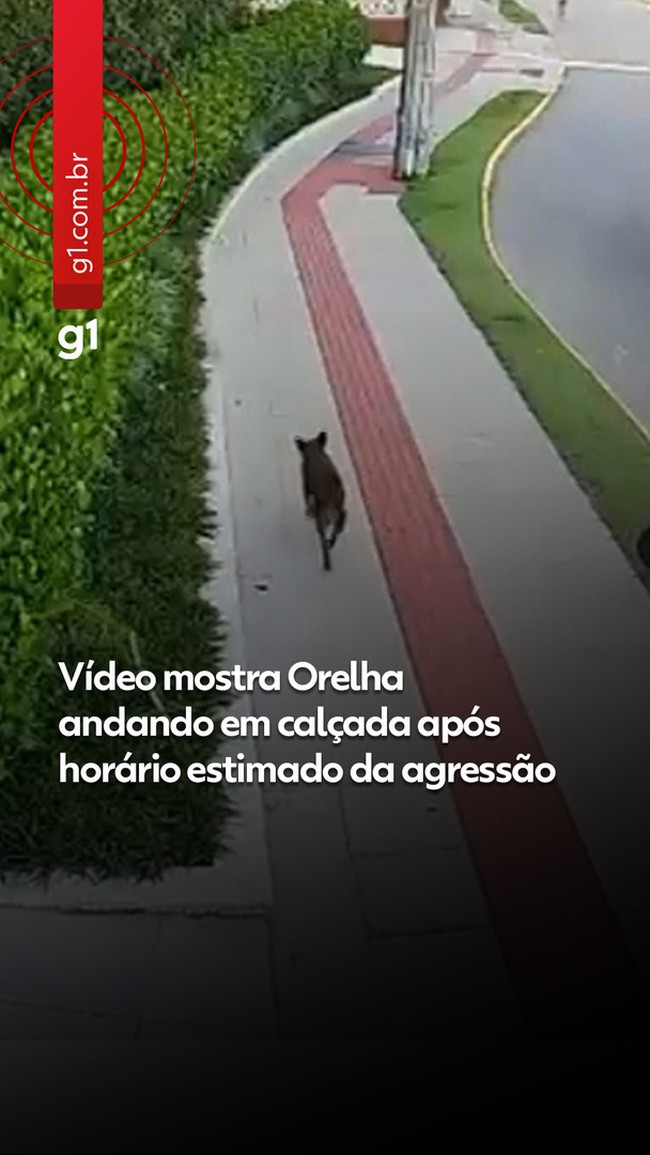 Carnaval 2026: onde curtir blocos, DJs e shows de Ferrugem, Gloria Groove e MC Pedrinho em Florianópolis