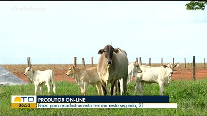 Prazo para atualização da ferramenta ‘Produtor Online’ termina nesta segunda-feira (21)