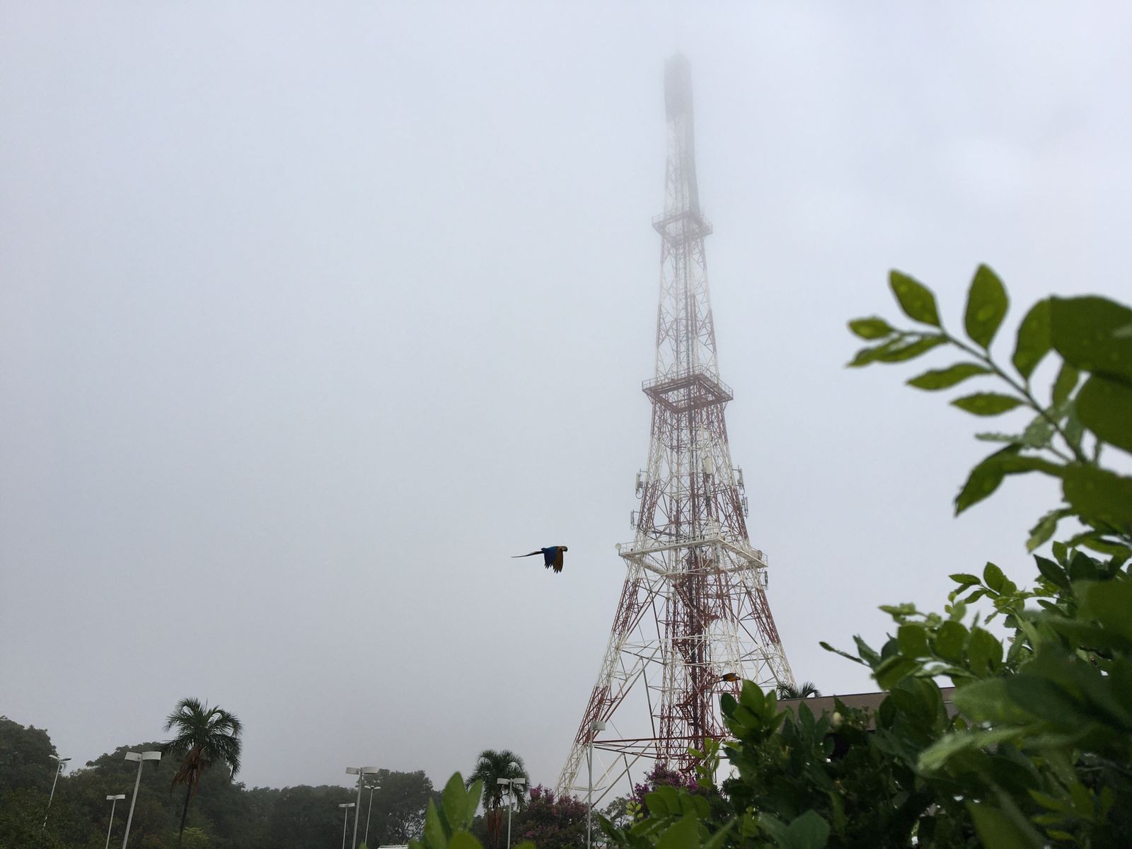 Domingo será de céu nublado com pancadas de chuva em MS, prevê meteorologia