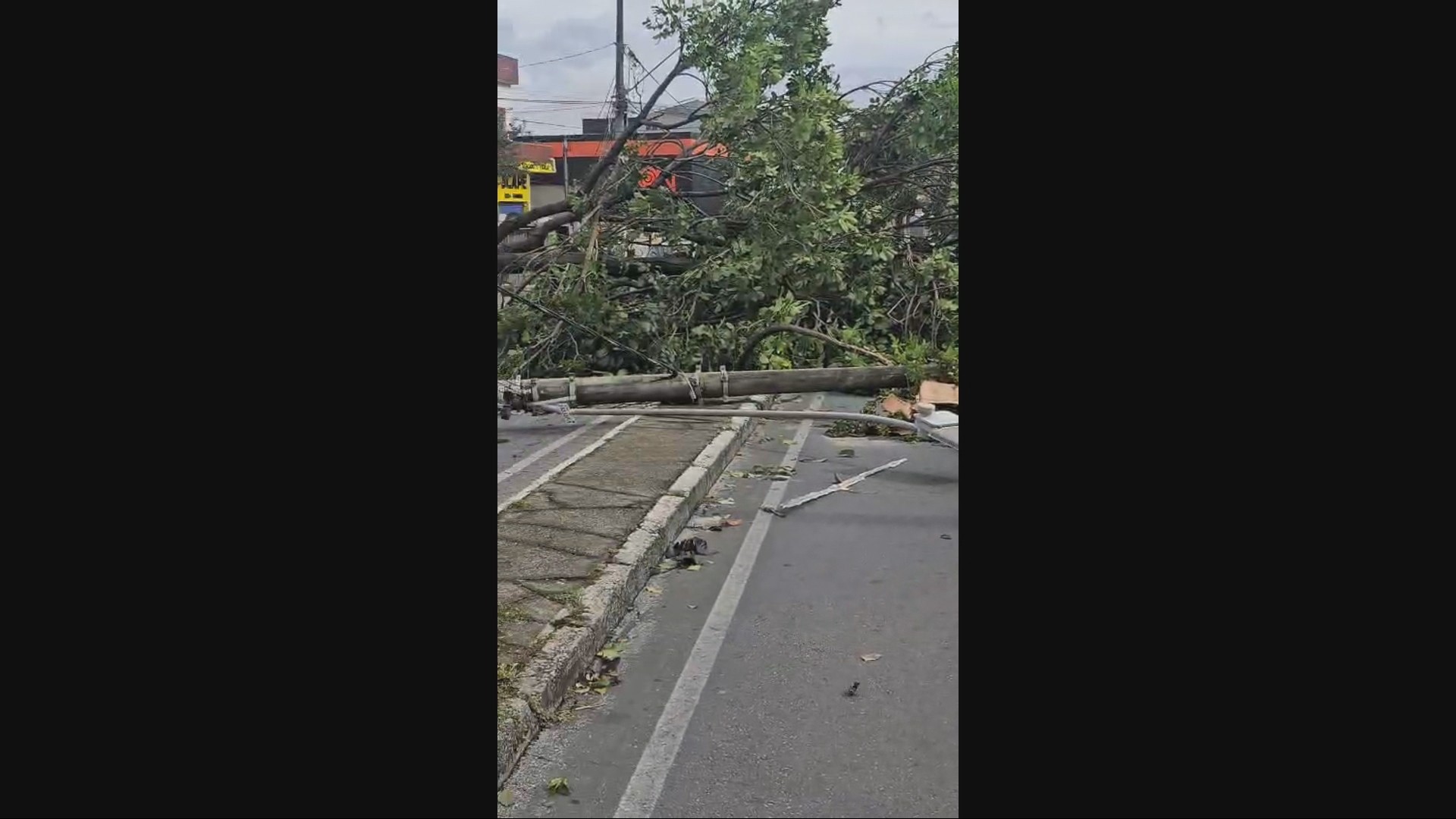 Chuva causa transtornos em alguns pontos da Grande BH; VÍDEOS
