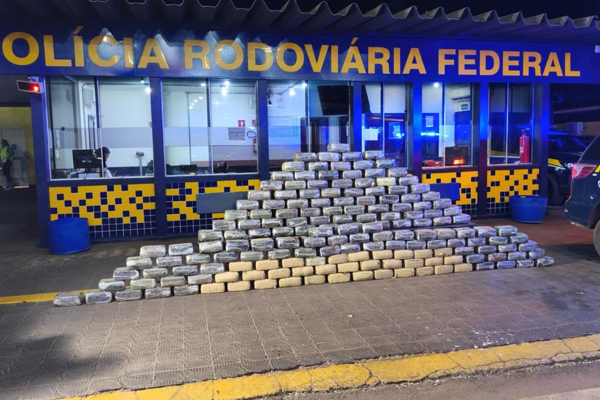 Motorista é preso após cão farejador localizar meia tonelada de 'skunk' em fundo falso de caminhão em MT
