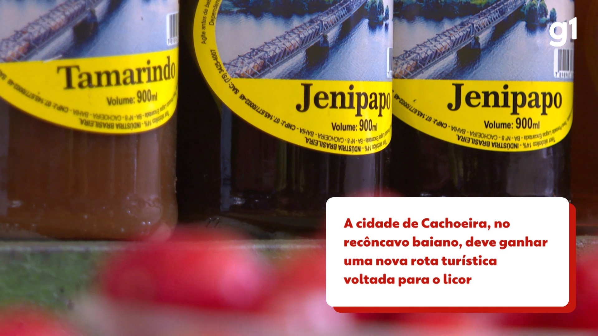 Vídeos do g1 e TV Bahia - terça-feira, 17 de junho de 2025