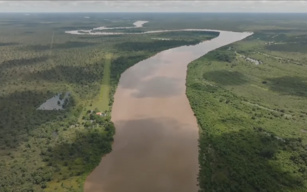 'Corredor da onça' no Rio Araguaia — Foto: Reprodução/Redes sociais do IOP