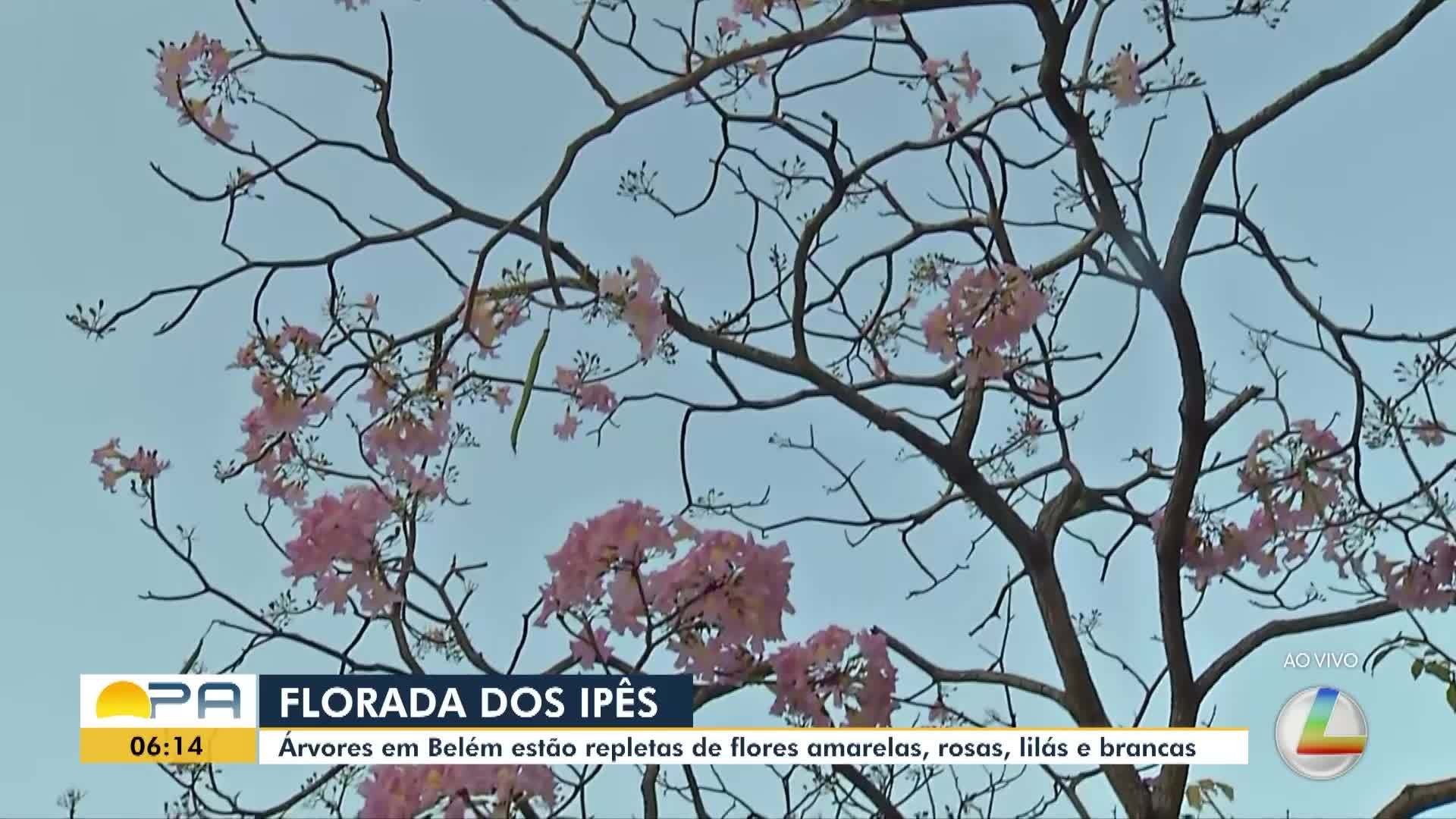 VÍDEOS: BDP de quarta-feira, 9 de setembro de 2026