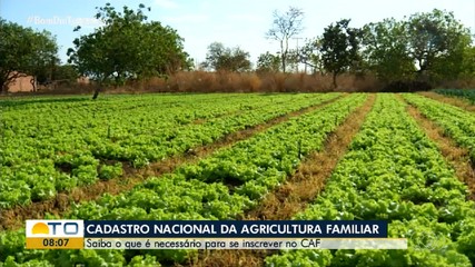 Veja como se inscrever no Cadastro Nacional da Agricultura Familiar
