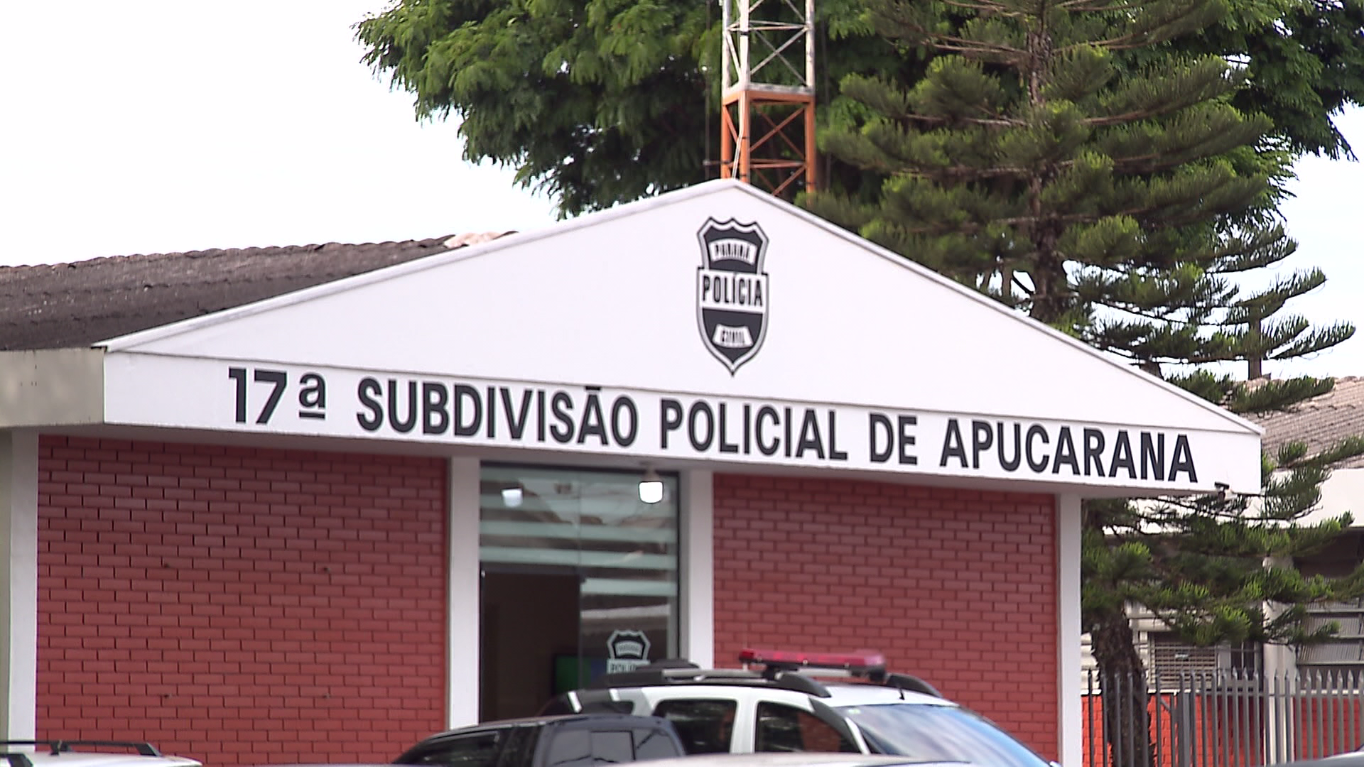 Irritado com barulho, homem mata filhote de gato e é preso depois de ser denunciado pelo próprio filho no Paraná, diz polícia