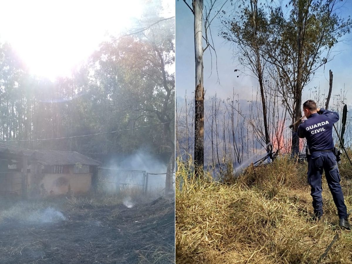 Adolescente ateia fogo em mato, queimada atinge 22 mil m² e exige retirada animais de pastos, canis e galinheiros em SP