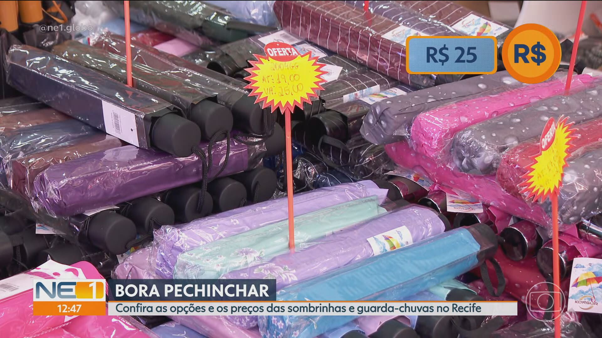 VÍDEOS: NE1 de quarta-feira, 15 de abril de 2026