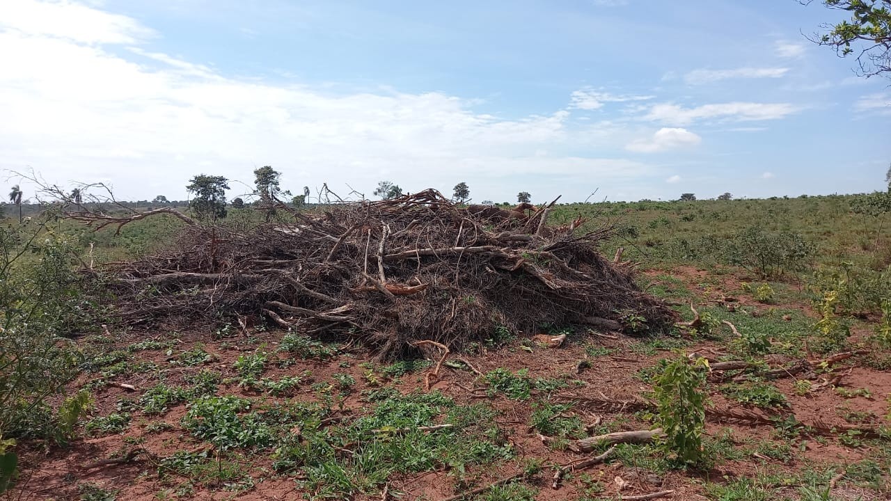 Imagens de satélite identificam devastação de vegetação nativa em mais de 12 hectares e fazendeiro é multado em R$ 68,3 mil