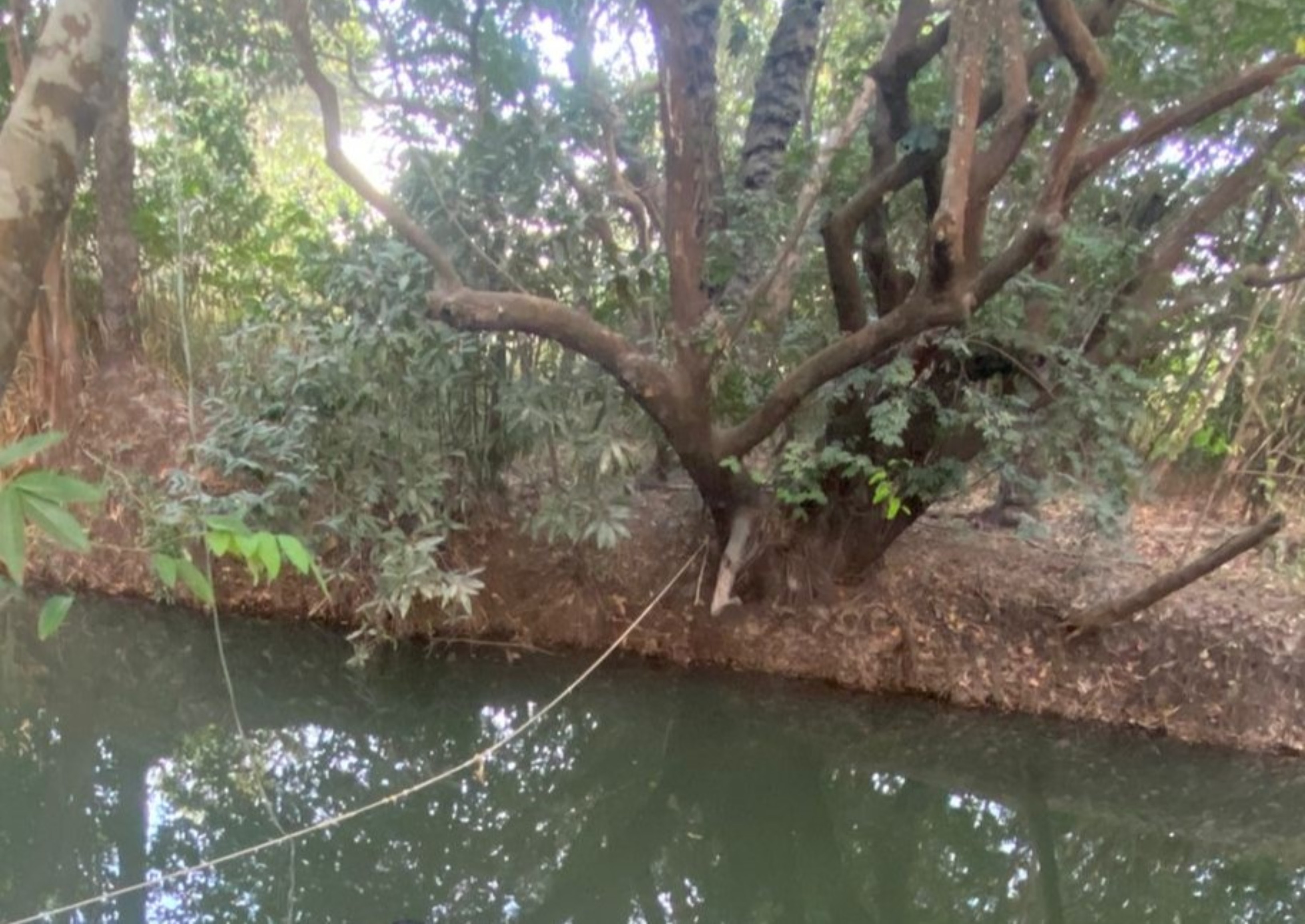 Jovem de 22 anos é encontrado morto em igarapé na zona rural de Boa Vista