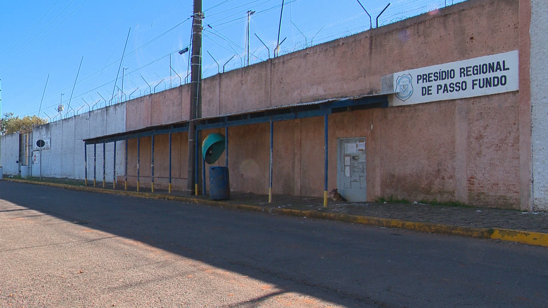 Prefeituras usam personagens, certificados e até Carreta Furacão para  incentivar a vacinação infantil, São Carlos e Araraquara