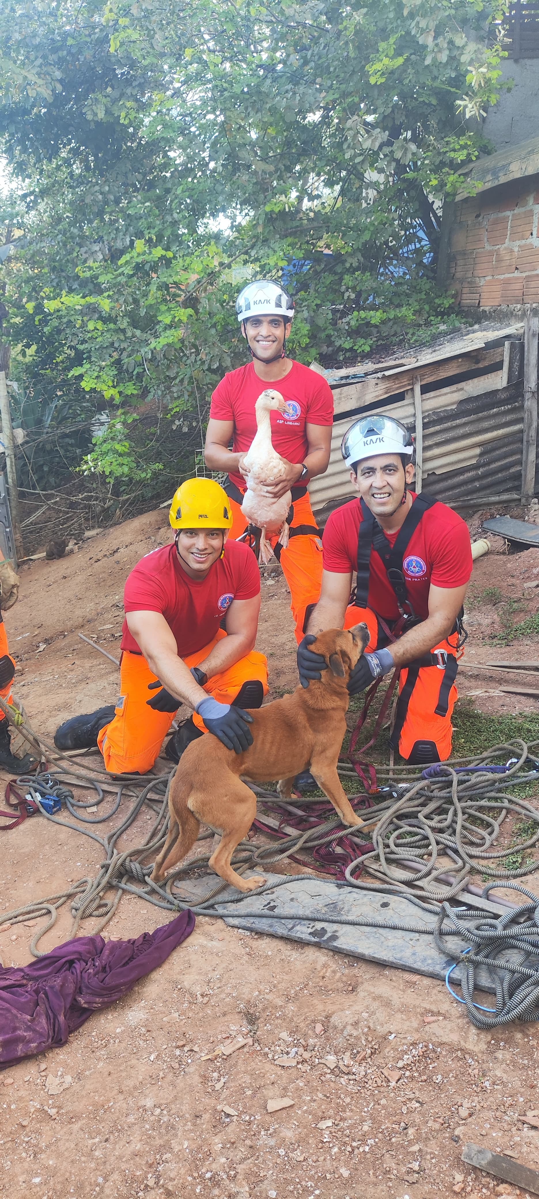 Cachorro e pato são resgatados de cisterna de 20 metros em Governador Valadares