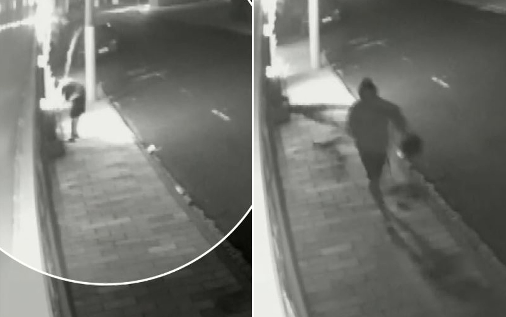 Vídeo: Homem é flagrado ao furtar pinheiro da porta de consultório em Franca, SP
