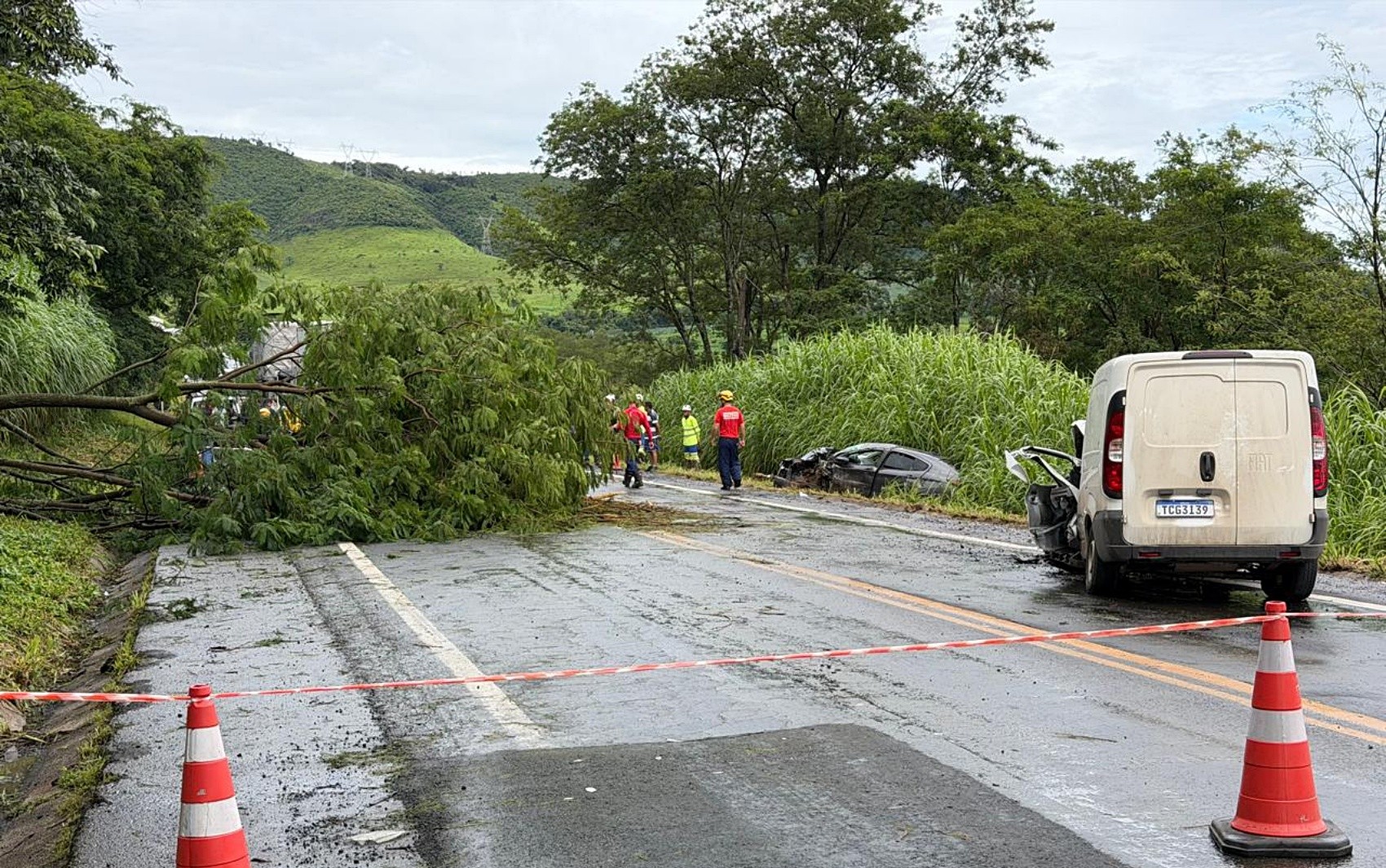 Quatro pessoas ficam feridas em batida após árvore cair sobre a pista da MG-050