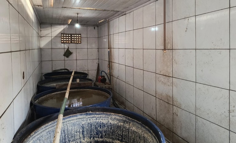 Operação apreende mais de 21 mil litros de cachaça, vodka, gin e outras bebidas falsificados, no Ceará