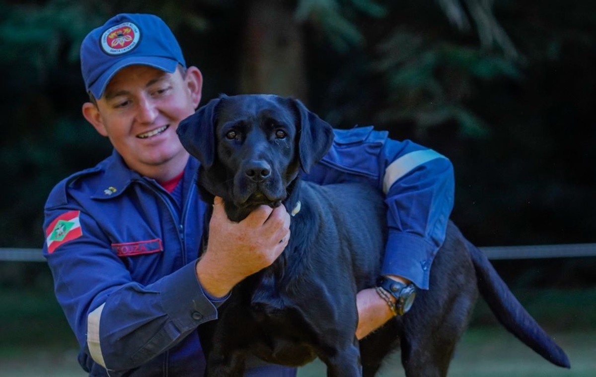 Cadela que atuou em Brumadinho e enchentes do Sul se aposenta do Corpo de Bombeiros em SC