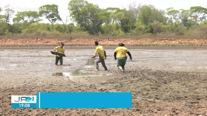 Animais são resgatados em lagoa de lama na Ilha do Bananal