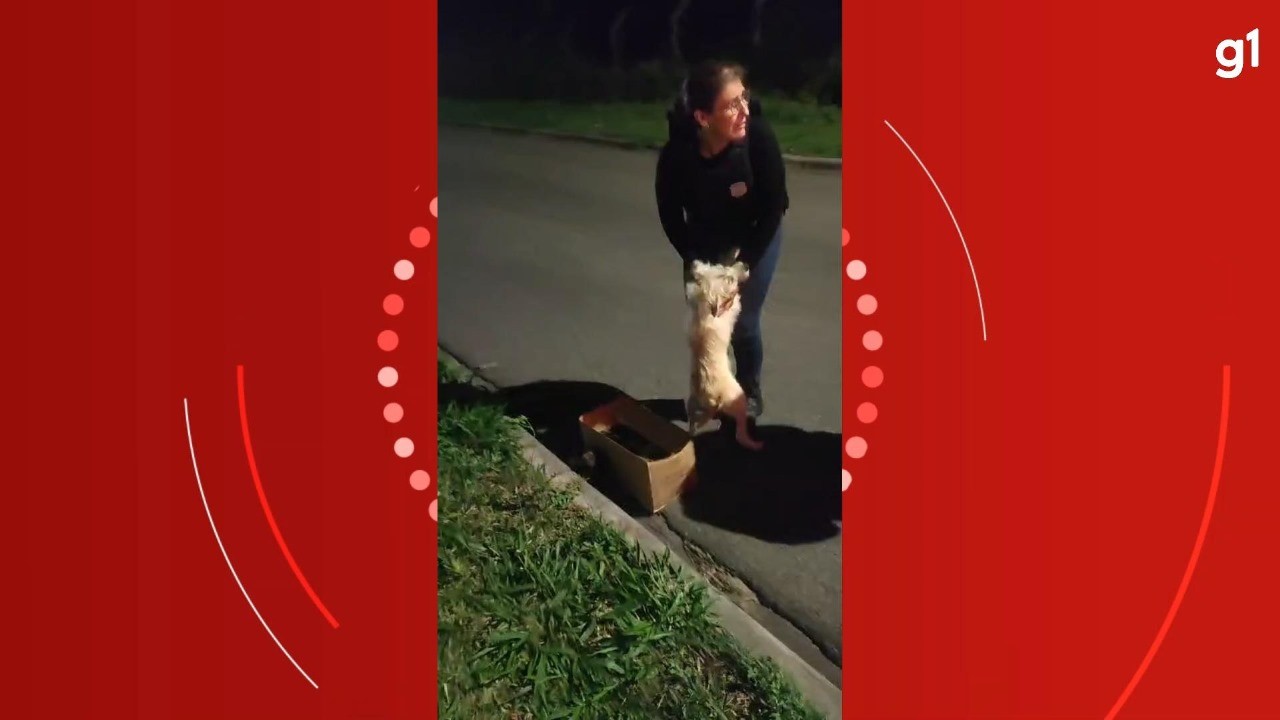 VÍDEO: Cadela 'pede socorro' para policiais e mostra filhotes abandonados em caixa no Paraná