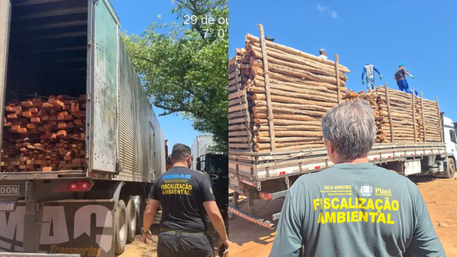 PI bate recorde em apreensão de madeira ilegal após caminhões serem flagrados com 131 m³, diz Semarh