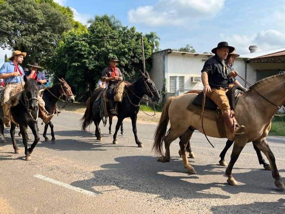 Ataque de abelhas deixou 30 pessoas feridas durante cavalgada no RS — Foto: Micael Araldi/Arquivo pessoal