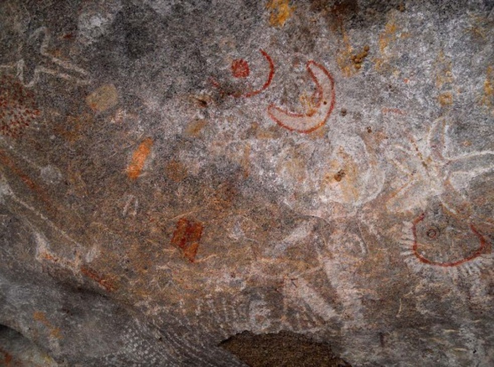 Pinturas rupestres encontradas na cidade do Congo, no interior da Paraíba, com alusão a supernova em 1054 — Foto: Felipe Sérvulo/Arquivo Pessoal