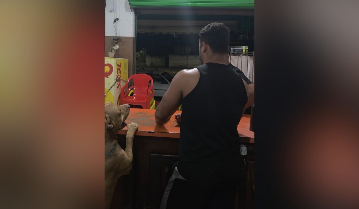 Pitbull age como recepcionista e viraliza após 'atendimento' em bar no interior de SP