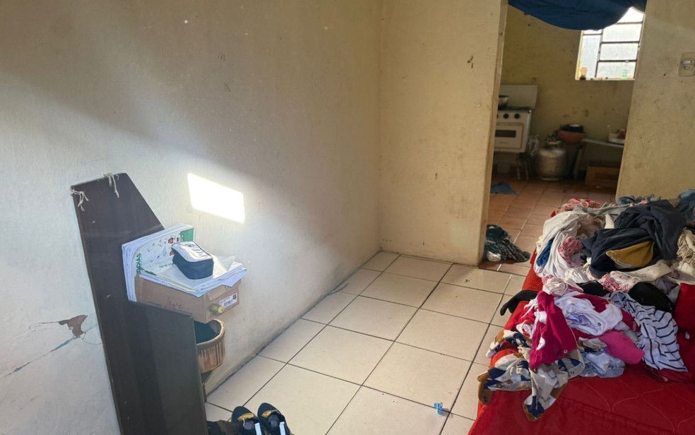 Segundo a polícia, filhos de casal viviam em situação insalubre, em Goiás — Foto: Divulgação/Polícia Civil