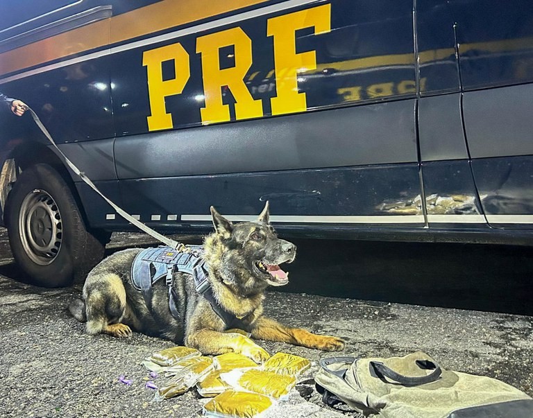 Polícia Federal apreende quase 5 kg de maconha ‘gourmet’ na Dutra em Arujá